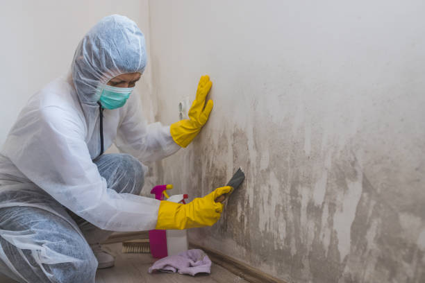 Best Crawl Space Mold Removal  in Social Circle, GA