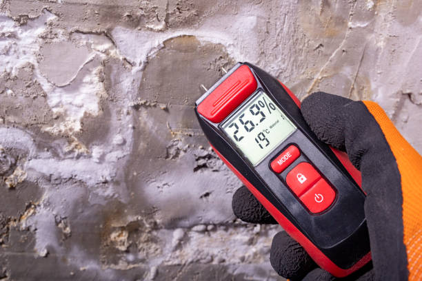 Best Mold Remediation Experts  in Social Circle, GA